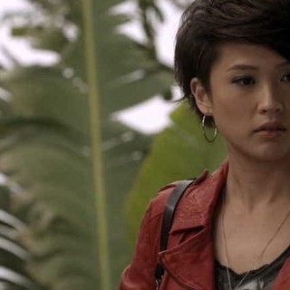 Lost For Words Picture 9