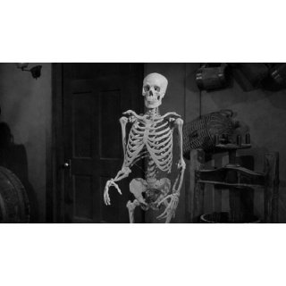 Lost Skeleton of Cadavra, The (2004)