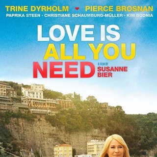 Love Is All You Need Picture 13