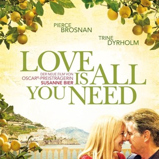 Love Is All You Need Picture 17
