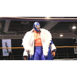 Lucha Mexico (2016)