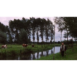Lust For Life Picture 7