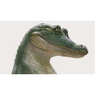 Lyle, Lyle, Crocodile Picture 10