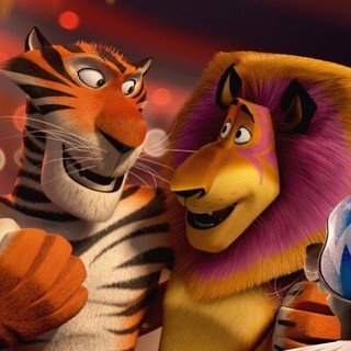 Vitaly the Tiger and Alex the Lion of DreamWorks Animation's Madagascar 3: Europe's Most Wanted (2012)