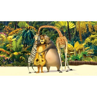 Madagascar Picture 4