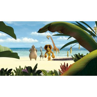 Madagascar Picture 10