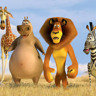 A scene from DreamWorks Pictures' Madagascar: Escape 2 Africa (2008)