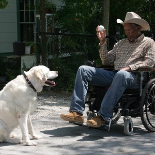 Morgan Freeman stars as Monte Wildhorn in Magnolia Pictures' The Magic of Belle Isle (2012)
