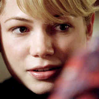 Michelle Williams stars as Ellen Vidales in IFC Films' Mammoth (2009)