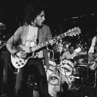 Marley Picture 1