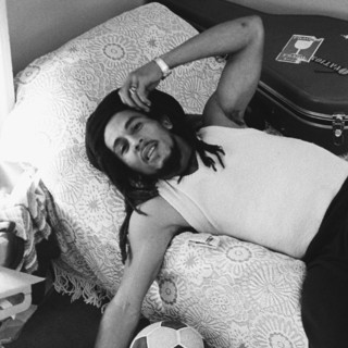 Marley Picture 3