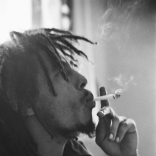 Marley Picture 4