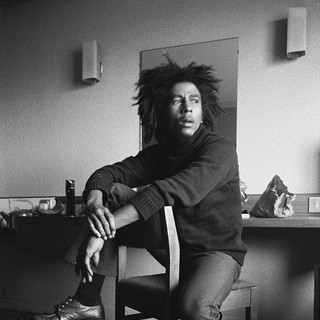 Marley Picture 8
