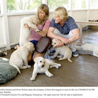 Marley & Me Picture 4