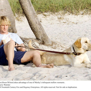 Marley & Me Picture 17