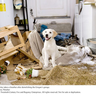 A scene from Fox 2000 Pictures' Marley & Me (2008). Photo credit by Barry Wetcher.