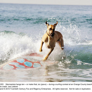 Marmaduke Picture 5
