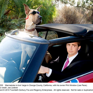 Marmaduke Picture 9
