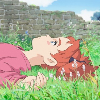 Mary And The Witch's Flower Picture 2