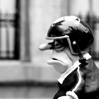 Mary And Max Picture 11