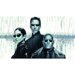 Matrix Revolutions, The Picture 1