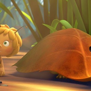 Maya The Bee Movie Picture 5