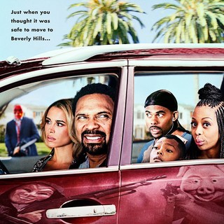 Poster of Freestyle Releasing's Meet the Blacks (2016)