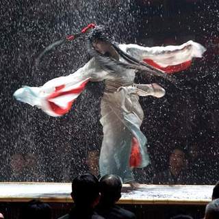 Memoirs Of A Geisha Picture 2