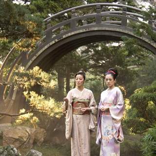 Memoirs Of A Geisha Picture 24