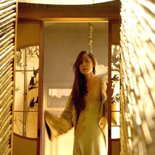 Memoirs Of A Geisha Picture 27