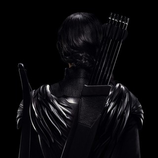Hunger Games: Mockingjay, Part 1, The Picture 27