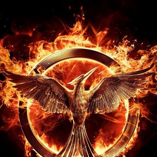 Hunger Games: Mockingjay, Part 1, The Picture 1