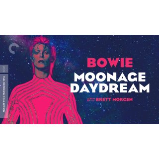 Moonage Daydream Picture 3