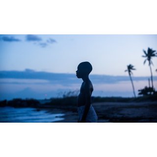 Moonlight Picture 4