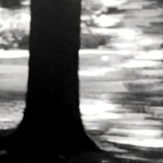Moored Shadow Picture 2