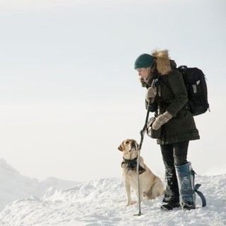 Kate Winslet stars as Alex Martin in 20th Century Fox's The Mountain Between Us (2017)