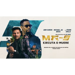 Mr 3000 (2004)