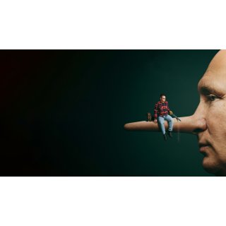 Mr. Nobody Against Putin Picture 6