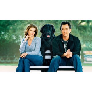 Must Love Dogs Picture 1