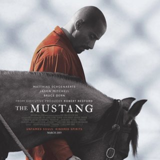 Mustang Picture 1