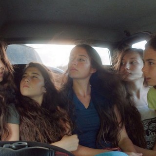 Mustang Picture 3
