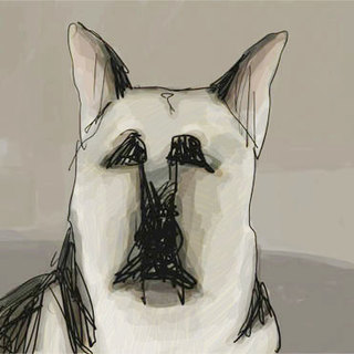 My Dog Tulip Picture 25