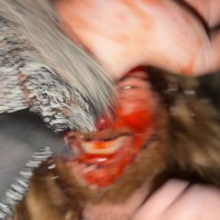 My Found Footage Picture 3