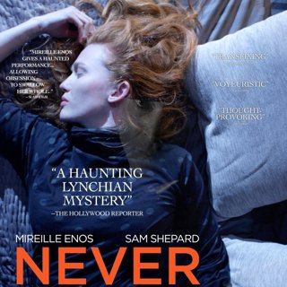Poster of Vertical Entertainment's Never Here (2017)