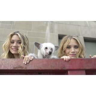 New York Minute Picture 2