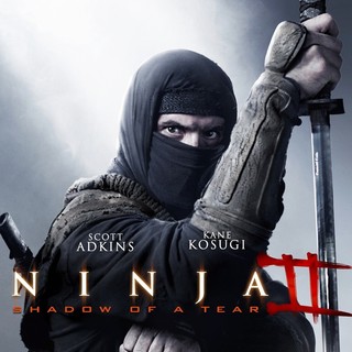 Poster of Millennium Films' Ninja: Shadow of a Tear (2013)