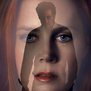Nocturnal Animals Picture 5