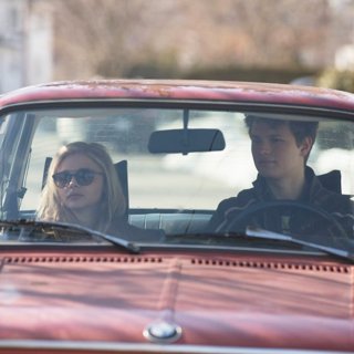 November Criminals Picture 4