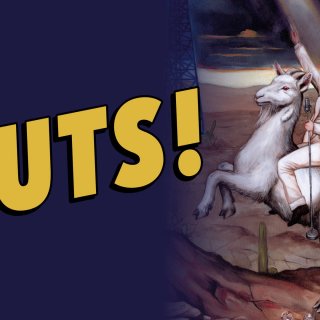 Nuts! Picture 2