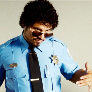 Observe And Report Picture 19